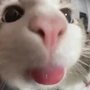 blep