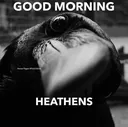 Goodmorning