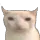 m_bruhcat