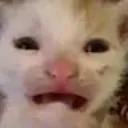 hellp