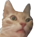 huh