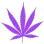 v9purple