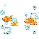 scfishbubbles