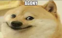 agonydoge