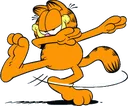 dabgarfield