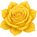p97279yellowwinterflower Discord emoji