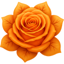p11957orangewinterflower Discord emoji