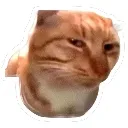mhmmcat