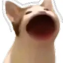 yapcat