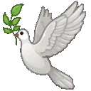 6TG_Dove