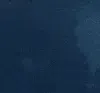 6league_pinguin