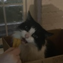 SUNCHIPMF_1387886367350063255