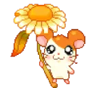 6HamtaroSunflower
