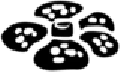 ju