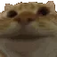 Yes