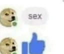 sexdoge