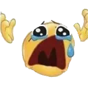 whyyyyy