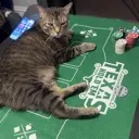 burpthegambler
