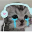 9_meme_meo_khoc