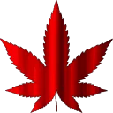 transparent_giphy