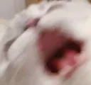 AAAAAAAAAAAAAAAAAAAAAAAA