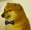 cheems