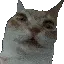 ECLCatUhhh