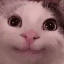 miku_beluga_hehe