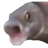 728323058615713917