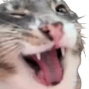 rizzby