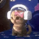 jamming