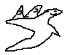 bavy_spin