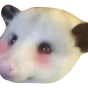 happypossum