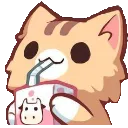 cat_sip
