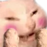 1203771303048384593