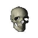 h_Skull_Spinning