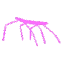 glowstickbug