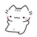 catspin