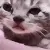 SCcrying