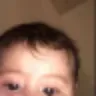 Shayf
