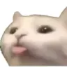 6_