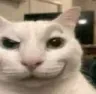 3_
