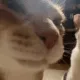 dGH_catyawn dGH_catyawn