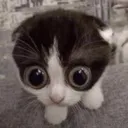 MONKA