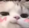 TS_1accha_vro