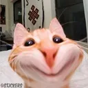 P_