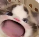 V_