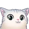 catUWU
