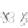 whitebfly