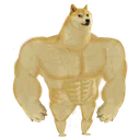 :swoledoge: